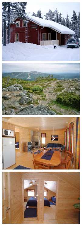 virkkulevi_kokooma